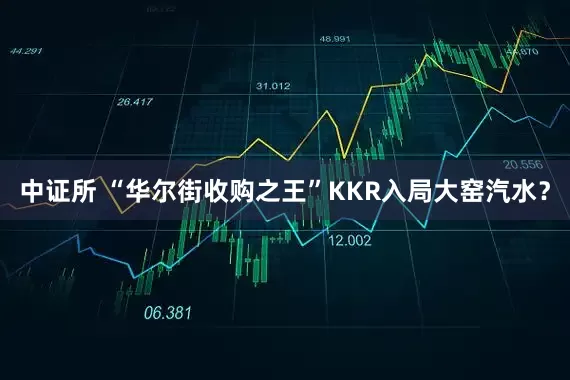 中证所 “华尔街收购之王”KKR入局大窑汽水？