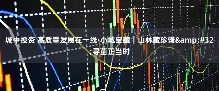 城中投资 高质量发展在一线·小城宝藏｜山林藏珍馐&#32;寻菌正当时