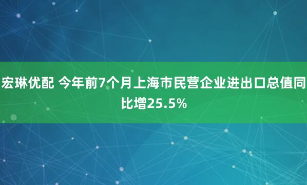 宏琳优配 今年前7个月上海市民营企业进出口总值同比增25.5%