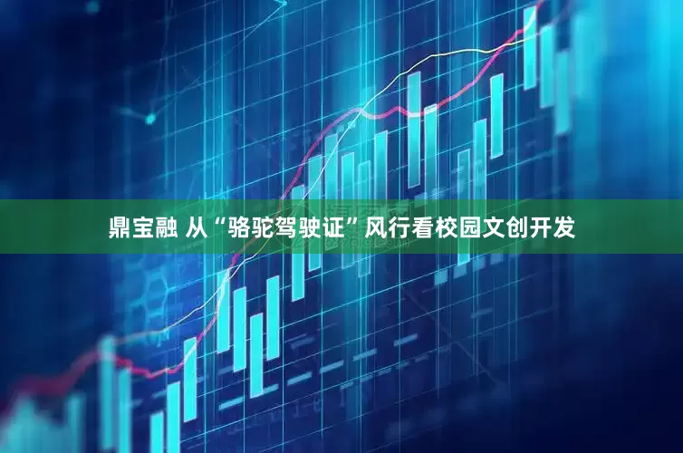 鼎宝融 从“骆驼驾驶证”风行看校园文创开发