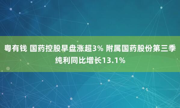 粤有钱 国药控股早盘涨超3% 附属国药股份第三季纯利同比增长13.1%