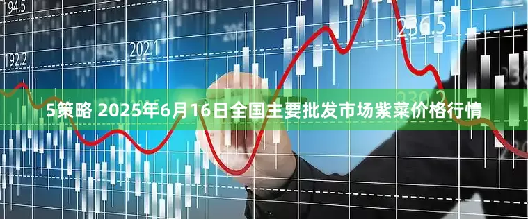 5策略 2025年6月16日全国主要批发市场紫菜价格行情