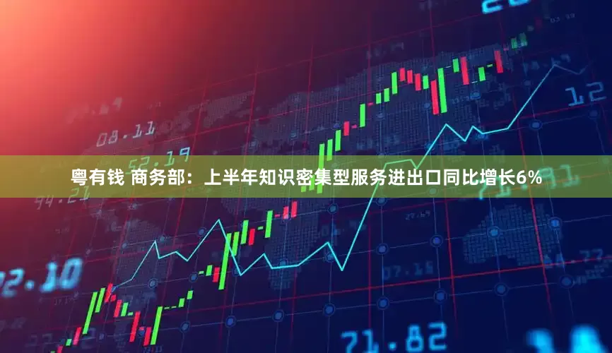 粤有钱 商务部：上半年知识密集型服务进出口同比增长6%