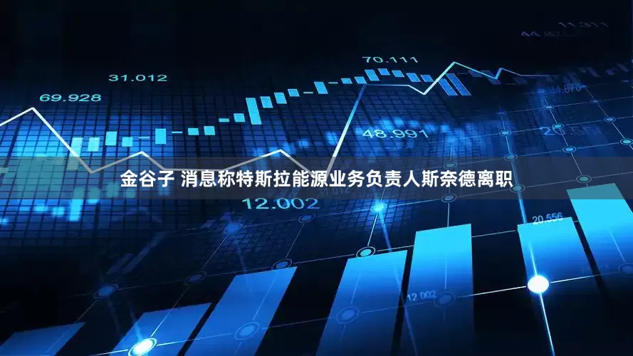 金谷子 消息称特斯拉能源业务负责人斯奈德离职